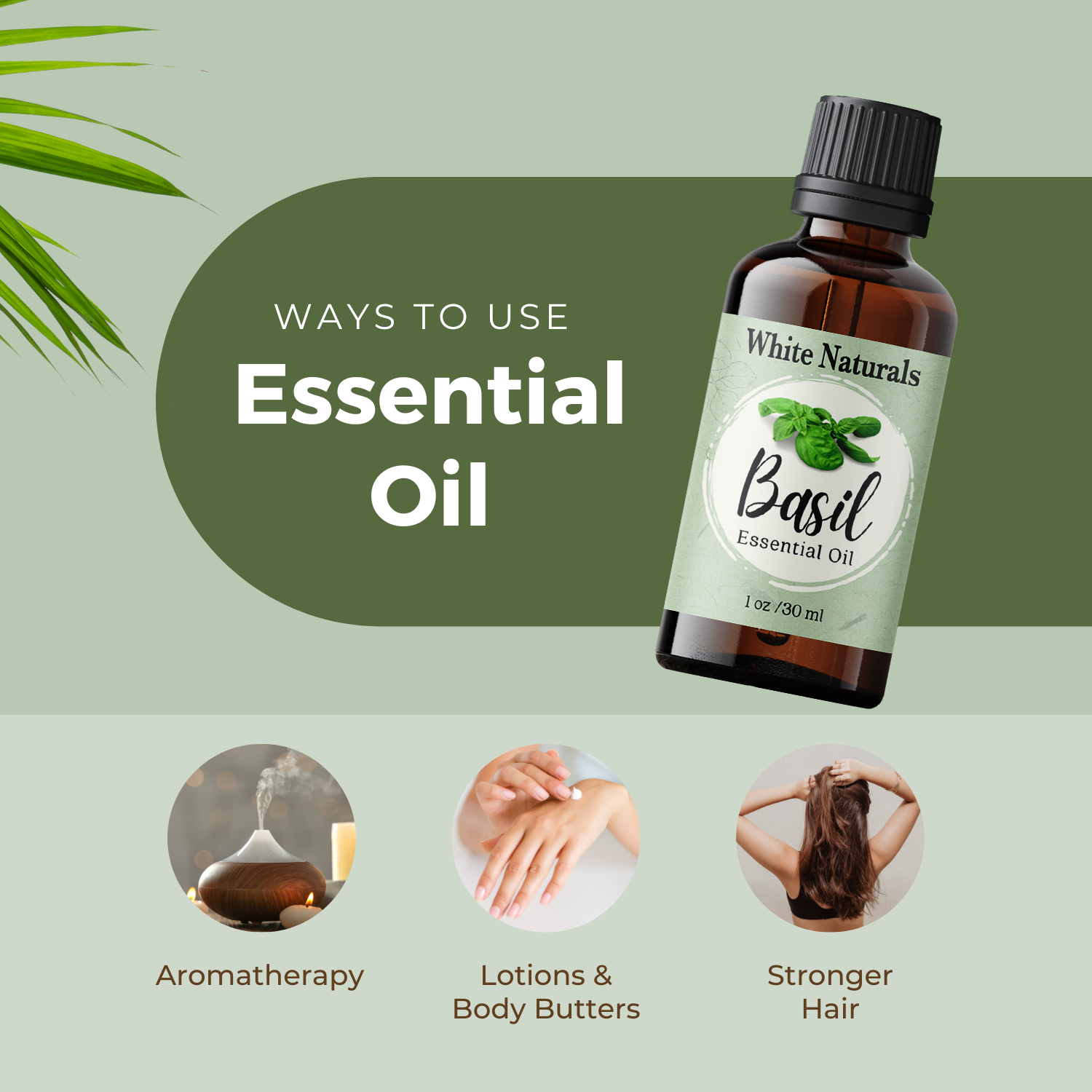 Basil Essential Oil