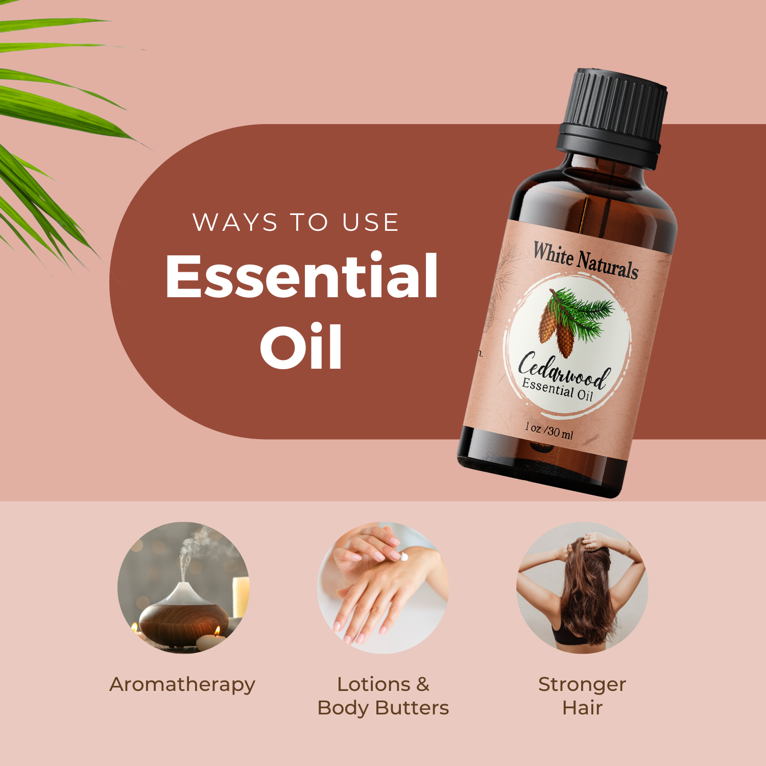 Cedarwood Essential Oil