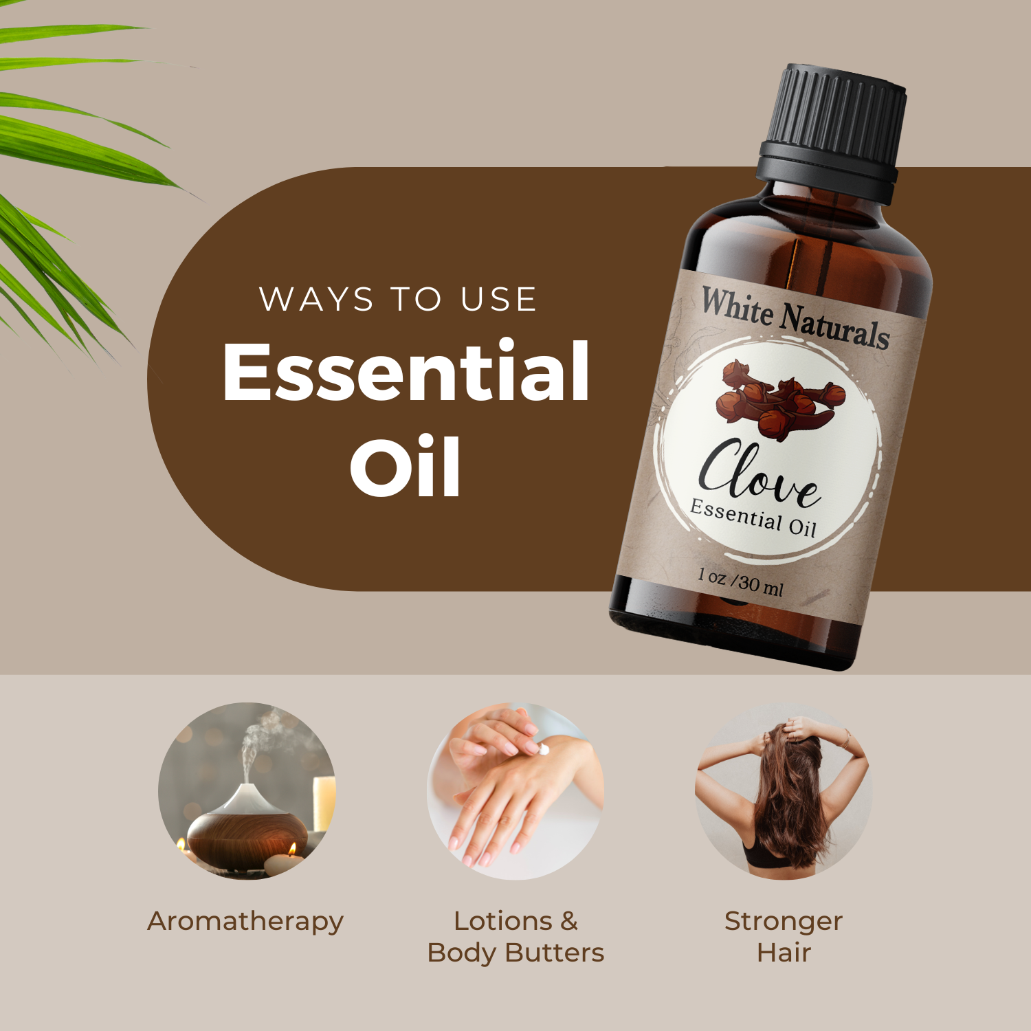 Clove Essential Oil