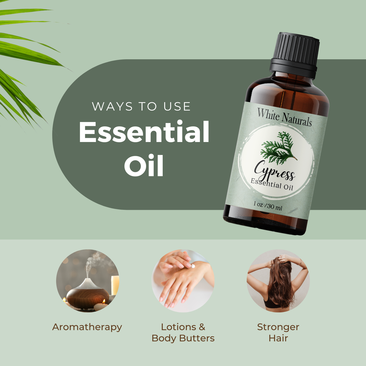 Cypress Essential Oil