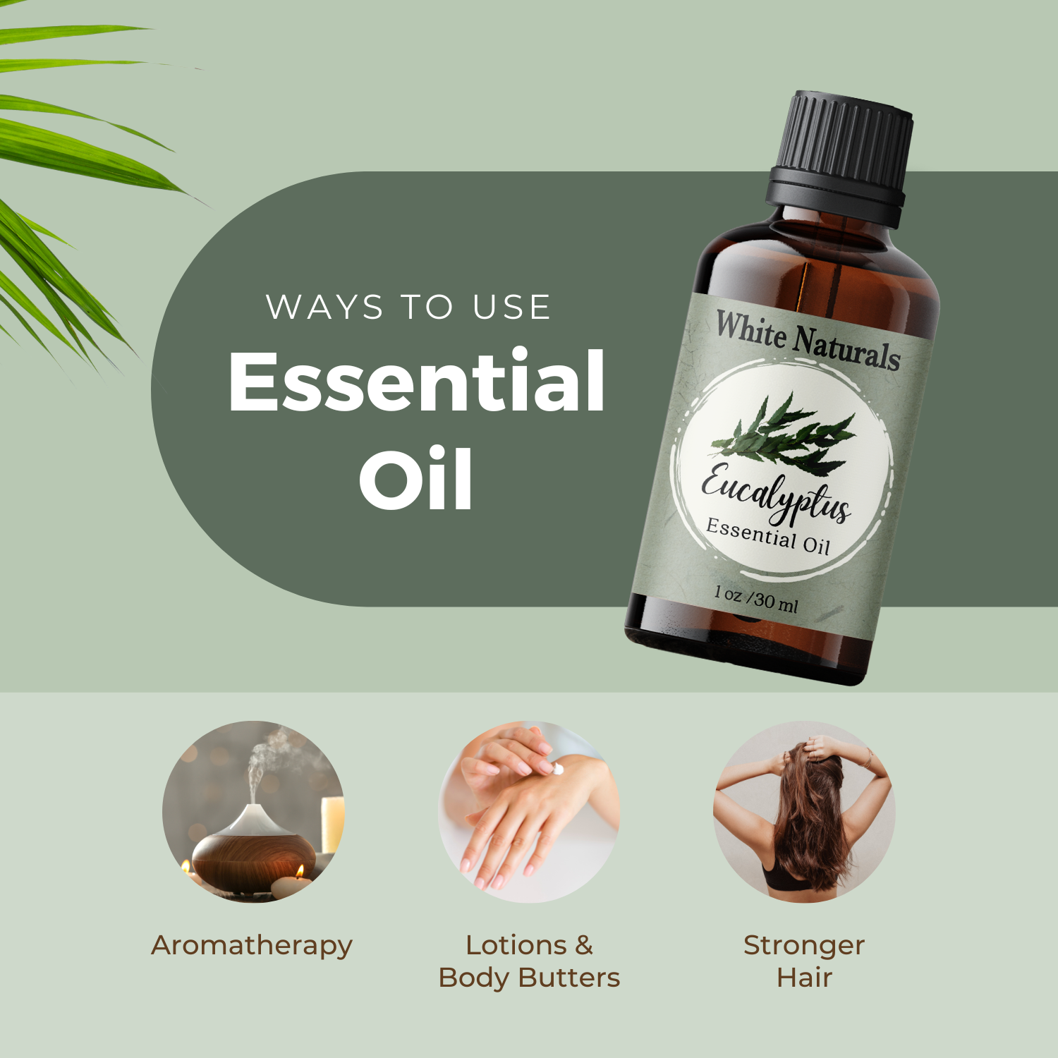 Eucalyptus Essential Oil