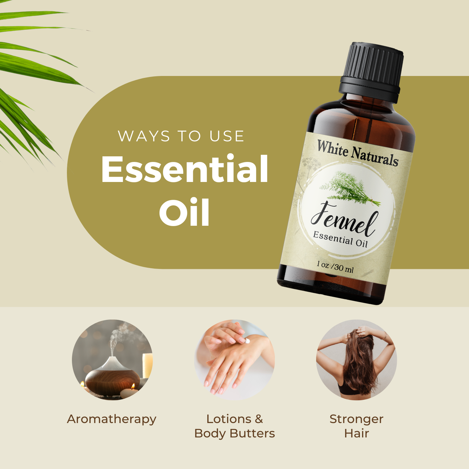 Fennel Essential Oil