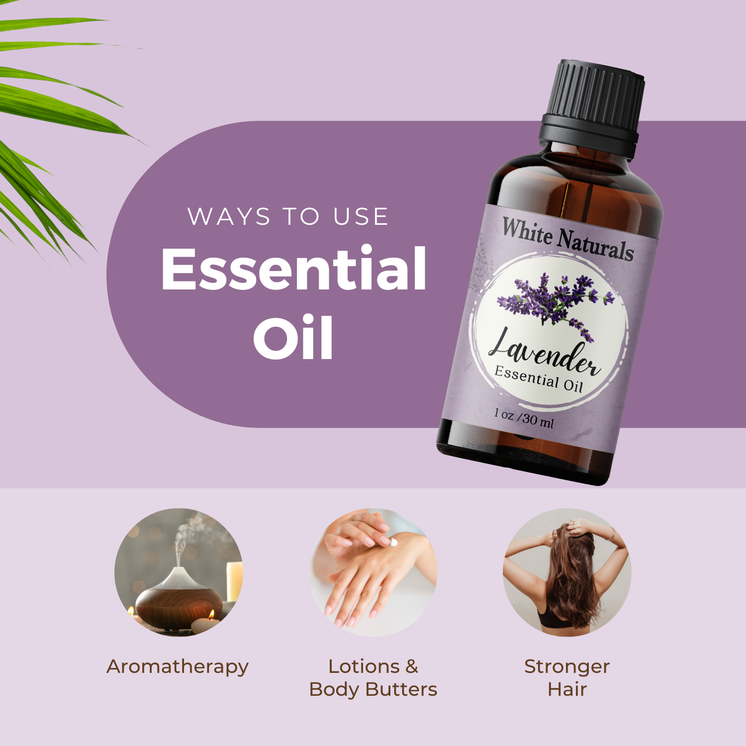 Lavender Essential Oil