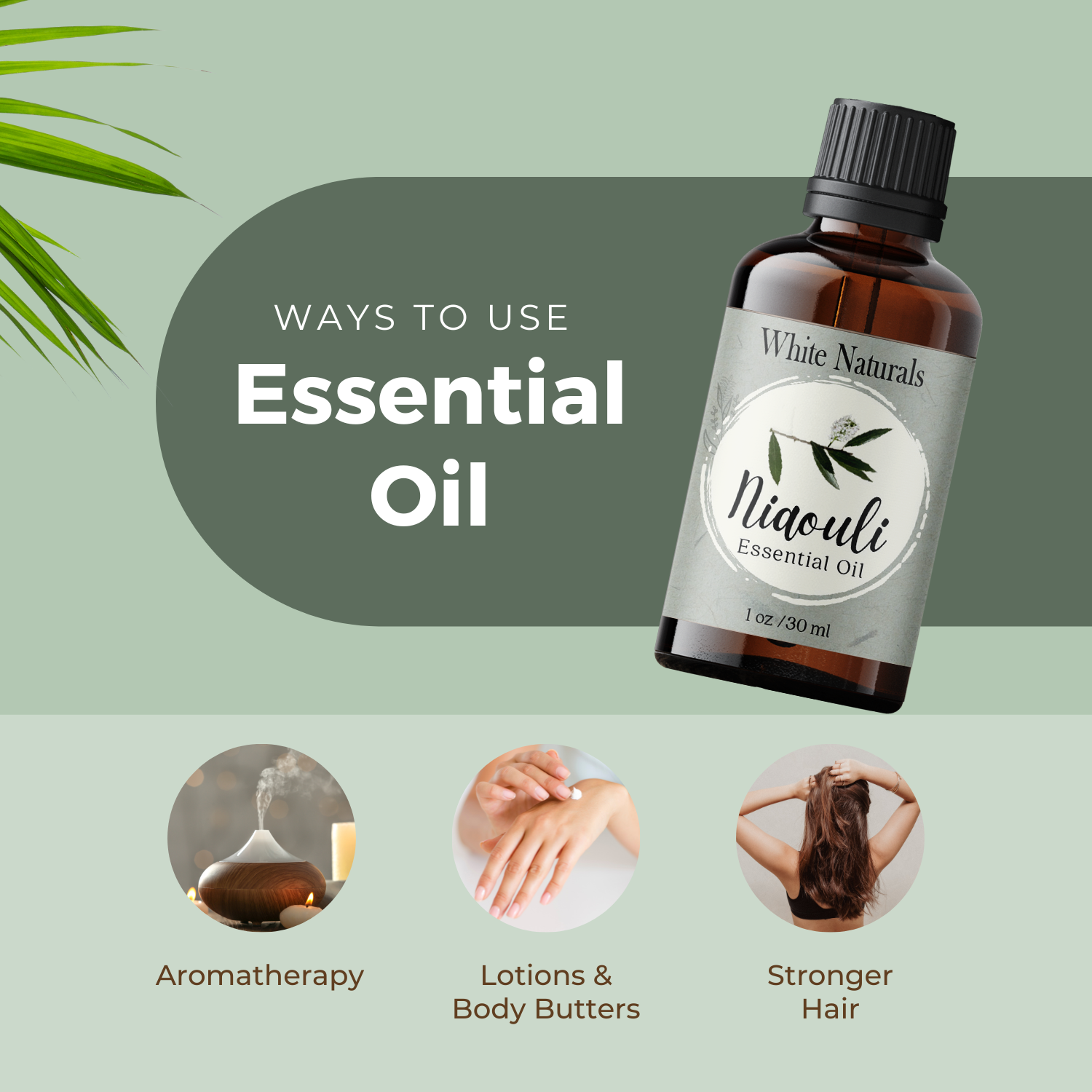 Niaouli Essential Oil