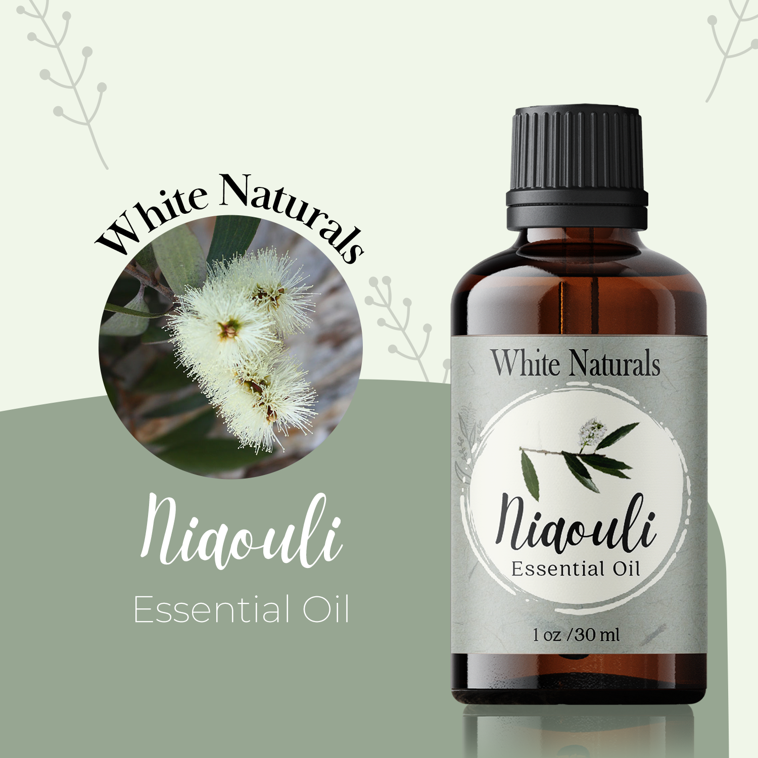 Niaouli Essential Oil