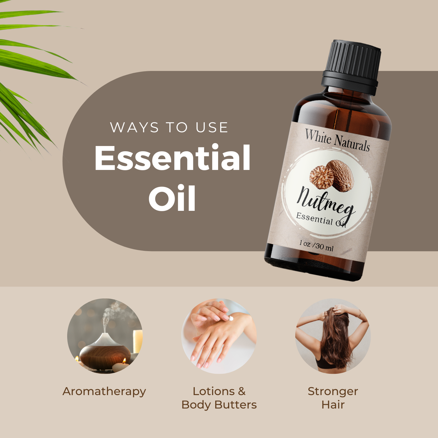 Nutmeg Essential Oil