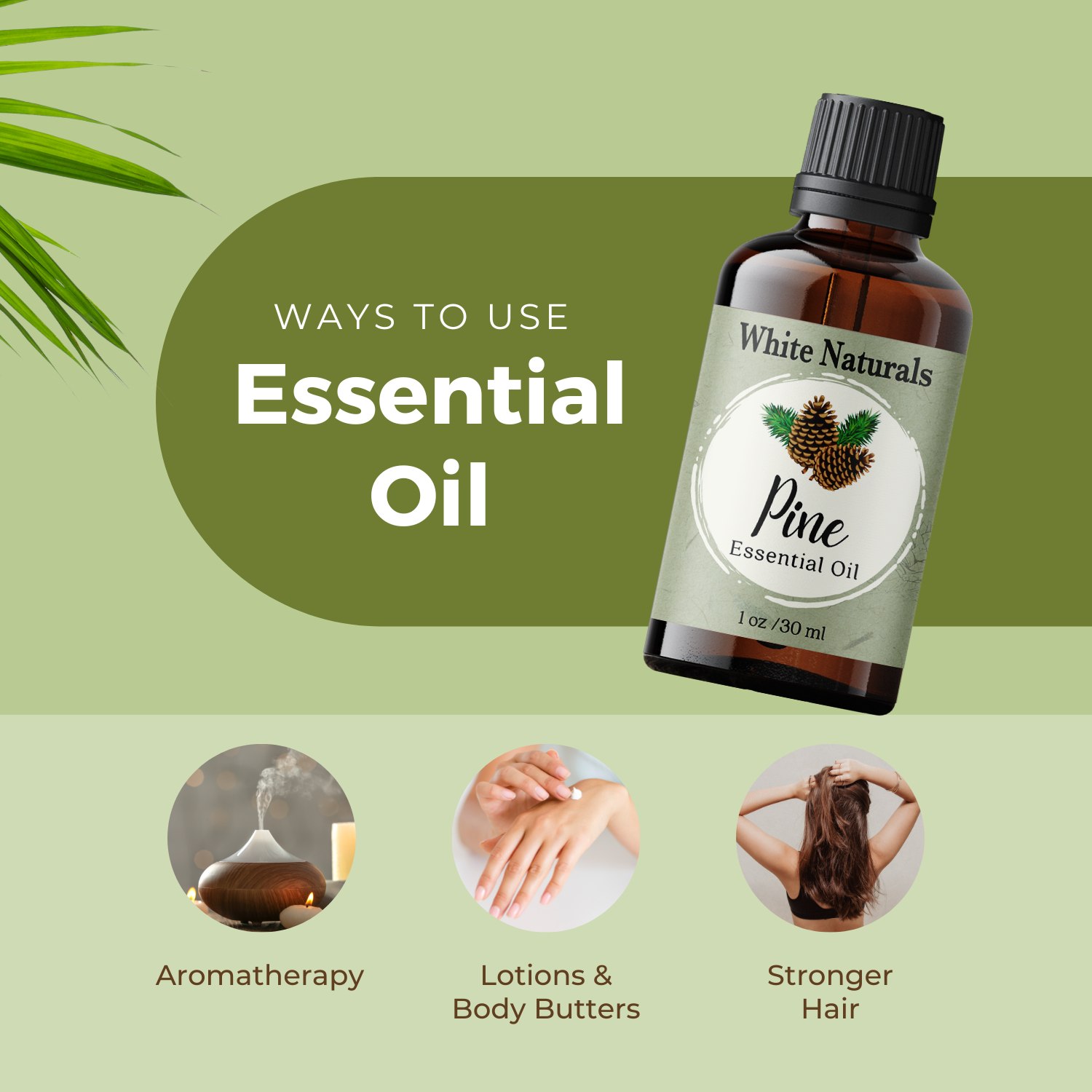 Pine Essential Oil